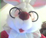 whiterabbit.jpg